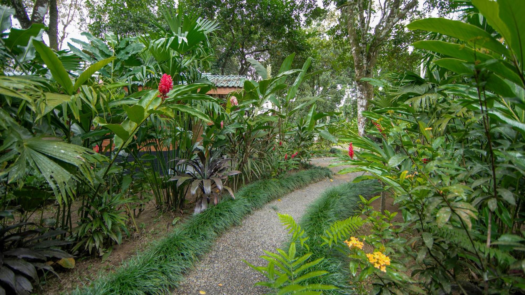 Eden Organic Farm & Bungalows La Fortuna Cameră foto