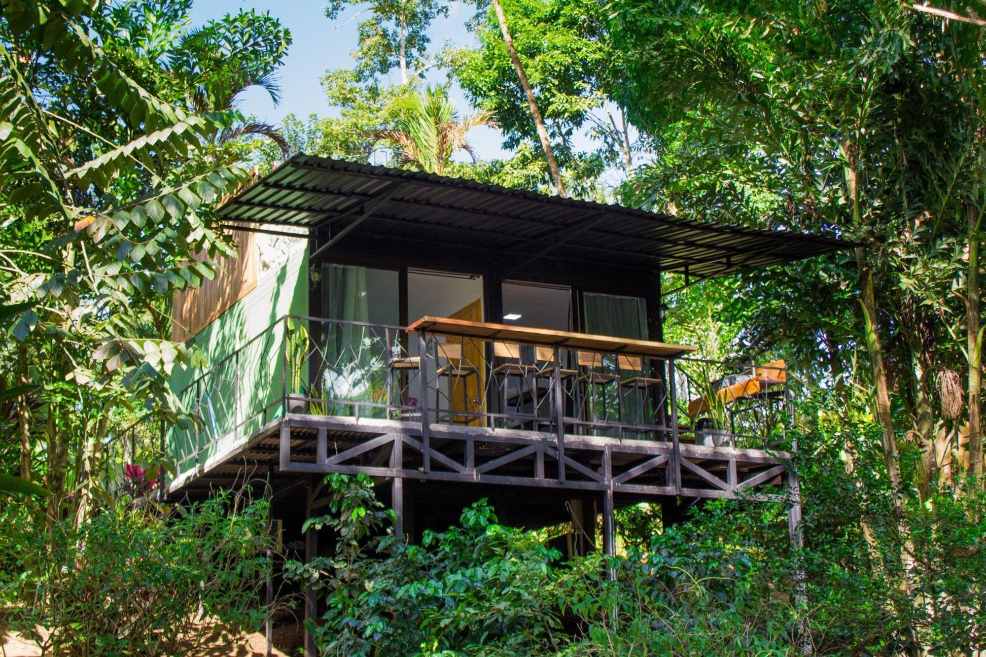 Eden Organic Farm & Bungalows La Fortuna Cameră foto